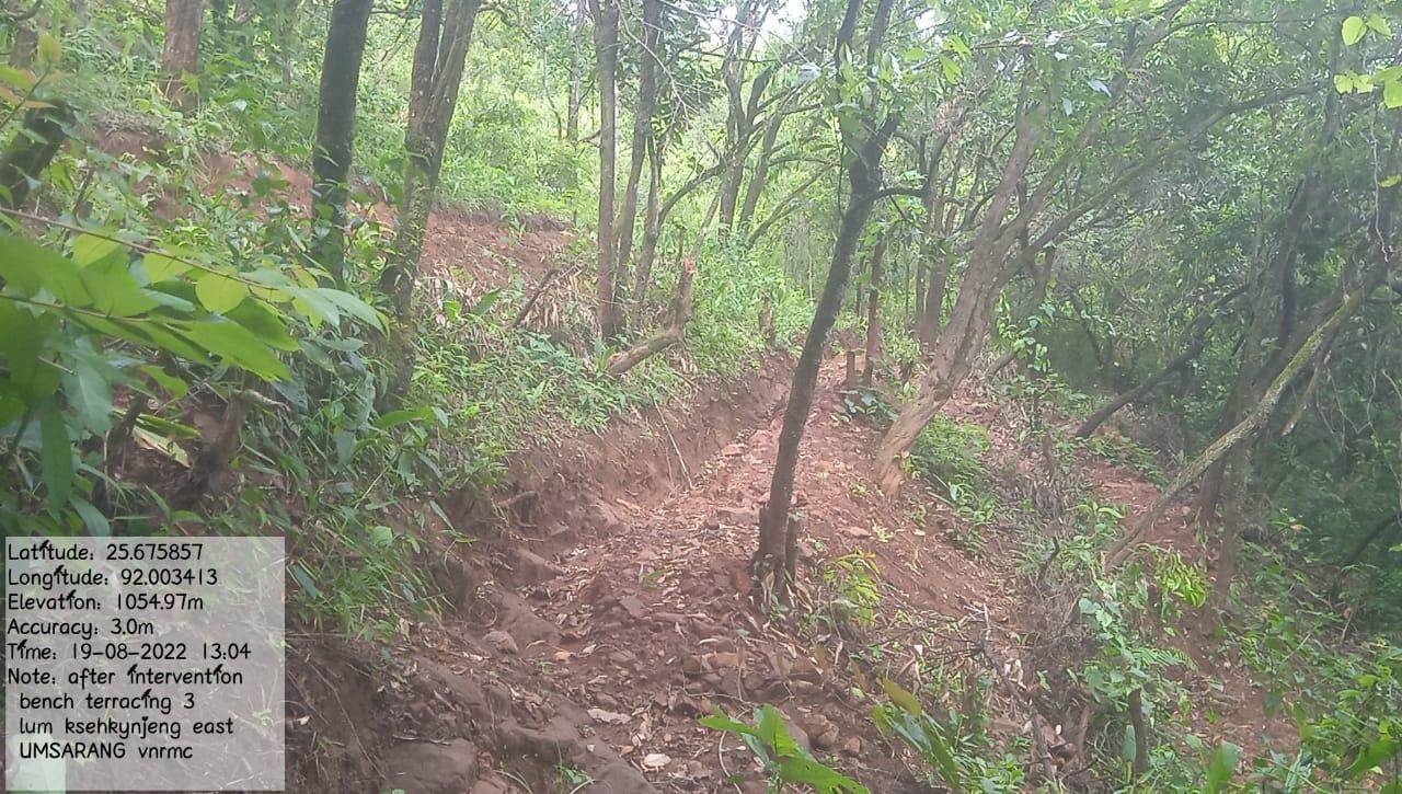 C:\Users\Lavinia Pde\Downloads\WhatsApp Image 2023-03-27 at 12.38.28.jpeg